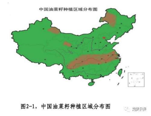 新年首个商品期权――菜籽粕期权今日上市！多个交易策略参考