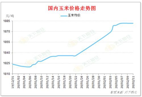 新型冠状病毒疫情影响下 国内外玉米走势如何？