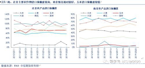 深度解析：疫情+虫害+天气三重影响下 全球出现粮荒概率有多大？