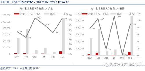 深度解析：疫情+虫害+天气三重影响下 全球出现粮荒概率有多大？