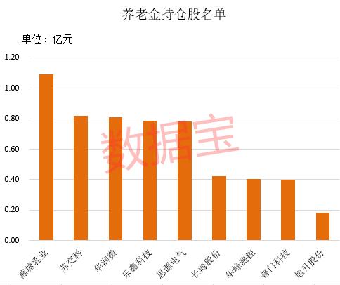 国家队调仓路线图：养老金盯上9股 最牛持仓股大涨373%